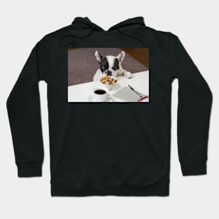 Boston Terrier Hoodie